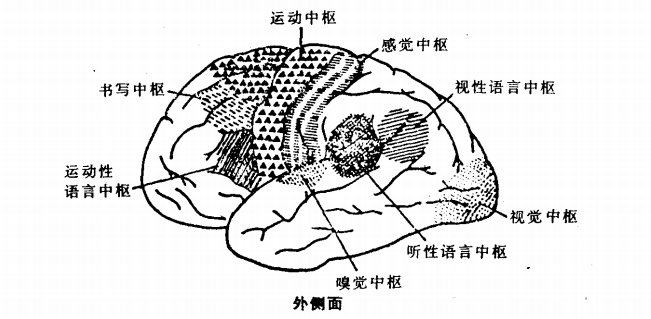 图片.png 图片.png