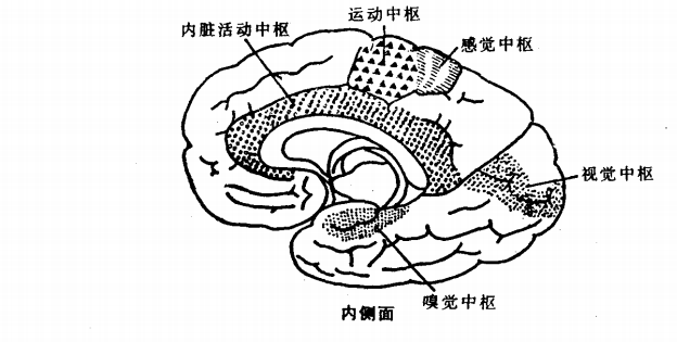 图片.png 图片.png